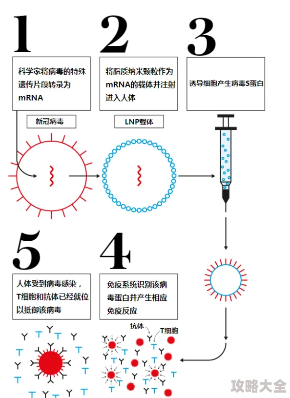 抵抗新型生物病毒疫苗研发获重大突破