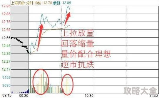 揭秘未来人生：最新快速赚钱方法与不为人知的暴利攻略分享